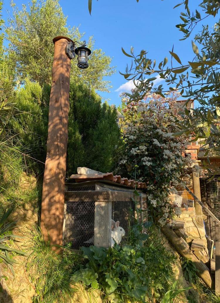 Bujtina Salko Mucaj Exterior foto